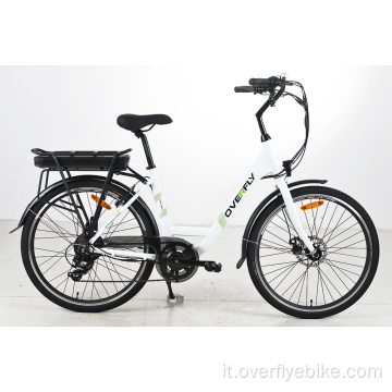 Bici elettrica a lunga distanza XY-GRACE